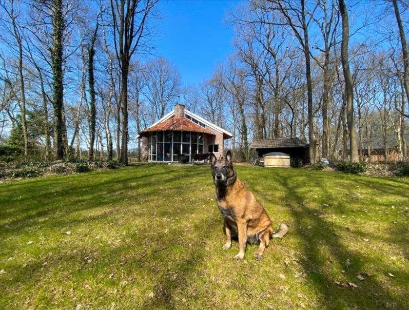 Villa De Paddestoel Wateren Exterior foto